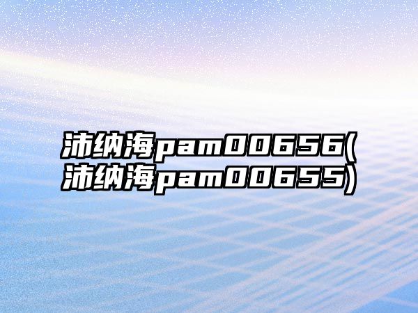 沛納海pam00656(沛納海pam00655)