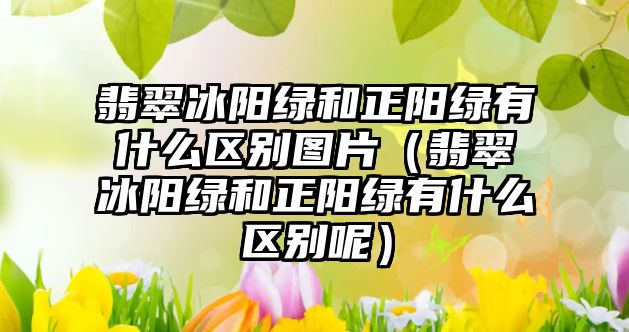 翡翠冰陽綠和正陽綠有什么區(qū)別圖片（翡翠冰陽綠和正陽綠有什么區(qū)別呢）