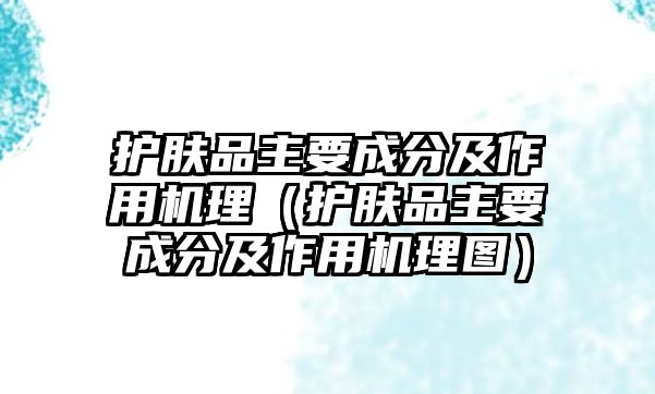 護(hù)膚品主要成分及作用機(jī)理（護(hù)膚品主要成分及作用機(jī)理圖）