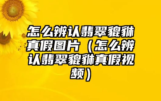 怎么辨認翡翠貔貅真假圖片（怎么辨認翡翠貔貅真假視頻）