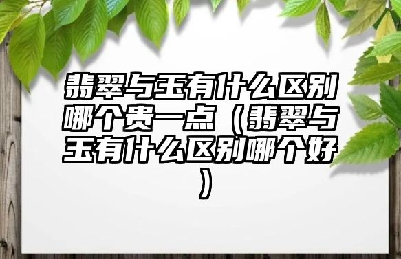 翡翠與玉有什么區別哪個貴一點（翡翠與玉有什么區別哪個好）