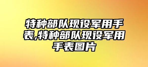 特種部隊現役軍用手表,特種部隊現役軍用手表圖片