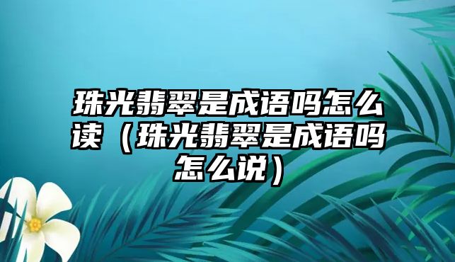 珠光翡翠是成語嗎怎么讀（珠光翡翠是成語嗎怎么說）