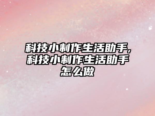 科技小制作生活助手,科技小制作生活助手怎么做