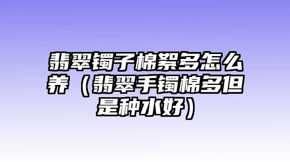 翡翠鐲子棉絮多怎么養（翡翠手鐲棉多但是種水好）