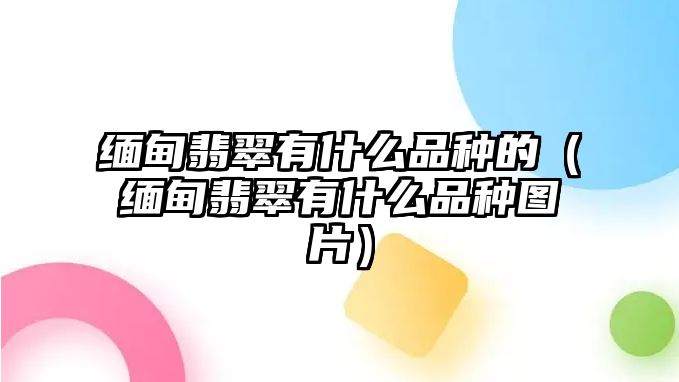 緬甸翡翠有什么品種的（緬甸翡翠有什么品種圖片）