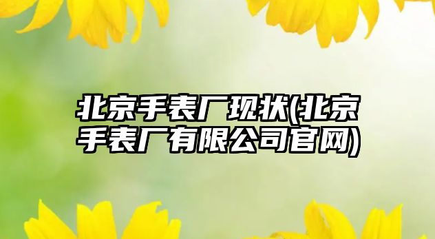 北京手表廠現(xiàn)狀(北京手表廠有限公司官網(wǎng))