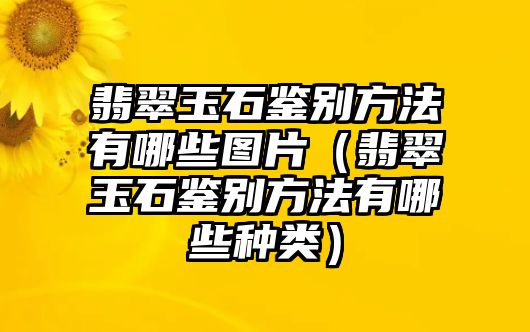 翡翠玉石鑒別方法有哪些圖片（翡翠玉石鑒別方法有哪些種類）