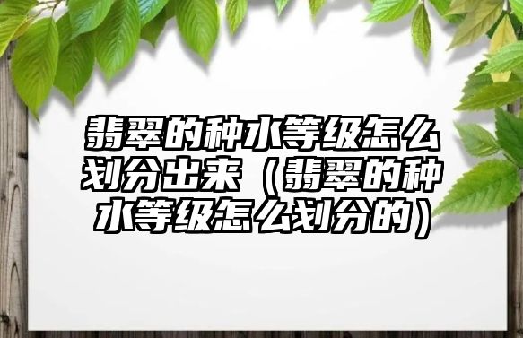 翡翠的種水等級怎么劃分出來（翡翠的種水等級怎么劃分的）