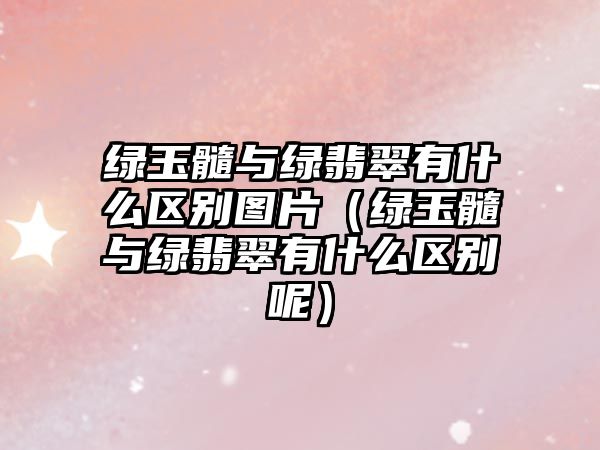 綠玉髓與綠翡翠有什么區別圖片（綠玉髓與綠翡翠有什么區別呢）