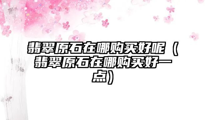 翡翠原石在哪購(gòu)買(mǎi)好呢（翡翠原石在哪購(gòu)買(mǎi)好一點(diǎn)）