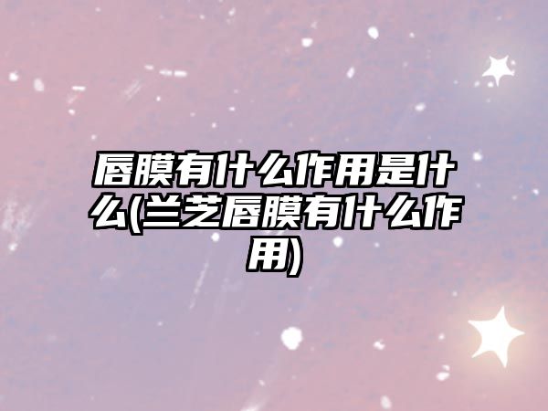 唇膜有什么作用是什么(蘭芝唇膜有什么作用)