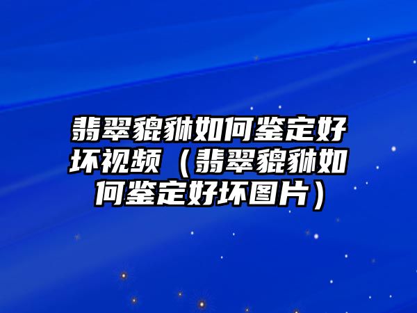 翡翠貔貅如何鑒定好壞視頻（翡翠貔貅如何鑒定好壞圖片）