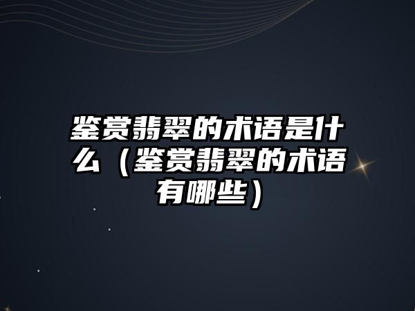 鑒賞翡翠的術語是什么（鑒賞翡翠的術語有哪些）