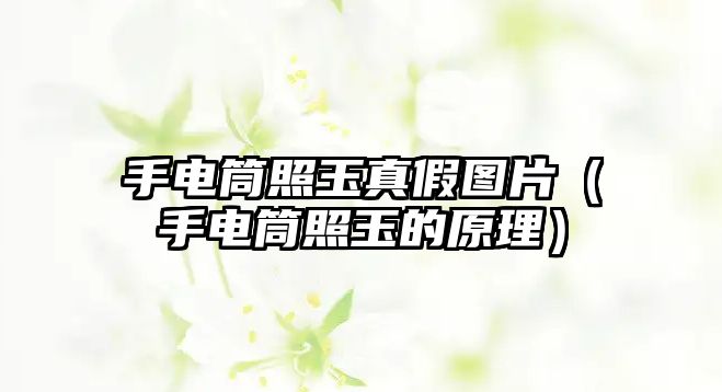 手電筒照玉真假圖片（手電筒照玉的原理）