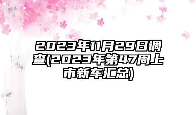 2023年11月29日調(diào)查(2023年第47周上市新車匯總)