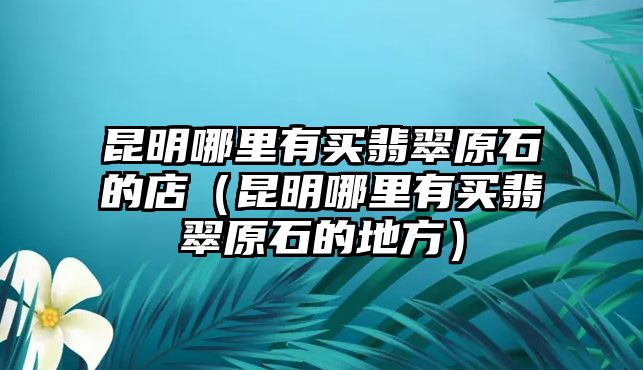 昆明哪里有買翡翠原石的店（昆明哪里有買翡翠原石的地方）