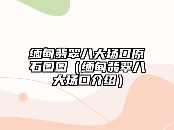 緬甸翡翠八大場(chǎng)口原石圖圖（緬甸翡翠八大場(chǎng)口介紹）