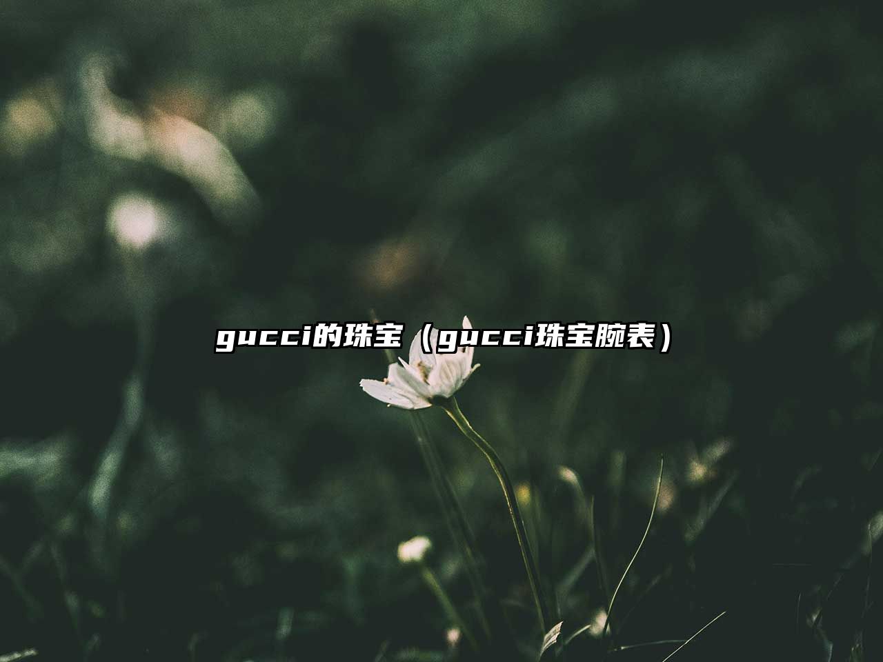 gucci的珠寶（gucci珠寶腕表）