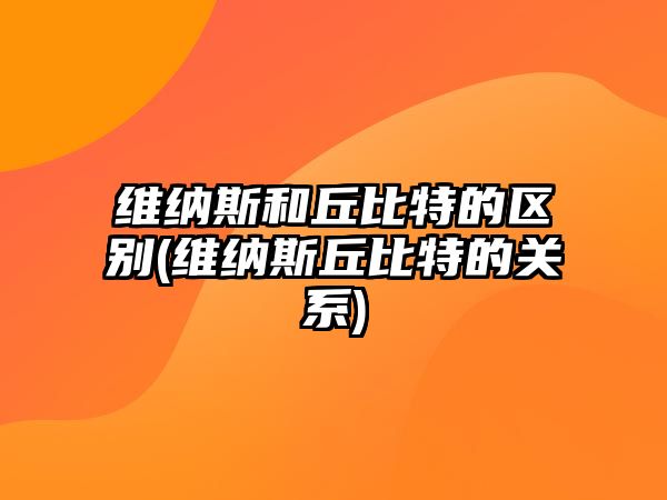 維納斯和丘比特的區別(維納斯丘比特的關系)