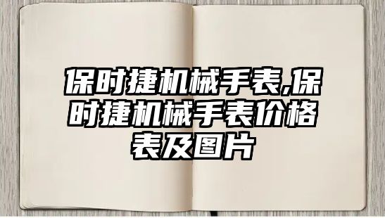 保時(shí)捷機(jī)械手表,保時(shí)捷機(jī)械手表價(jià)格表及圖片