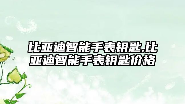 比亞迪智能手表鑰匙,比亞迪智能手表鑰匙價格