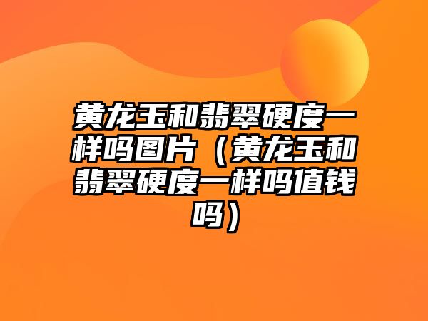 黃龍玉和翡翠硬度一樣嗎圖片（黃龍玉和翡翠硬度一樣嗎值錢嗎）