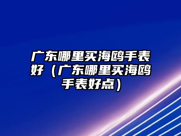 廣東哪里買海鷗手表好（廣東哪里買海鷗手表好點）