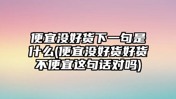 便宜沒好貨下一句是什么(便宜沒好貨好貨不便宜這句話對嗎)