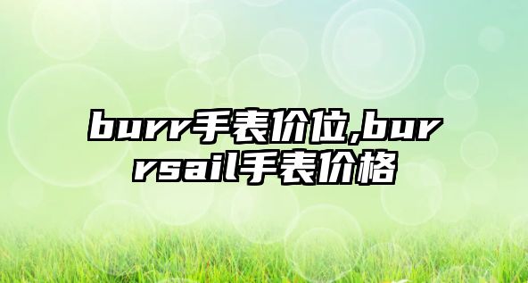 burr手表價位,burrsail手表價格