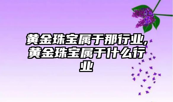 黃金珠寶屬于那行業,黃金珠寶屬于什么行業