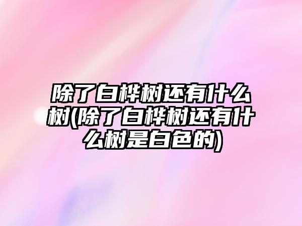 除了白樺樹還有什么樹(除了白樺樹還有什么樹是白色的)