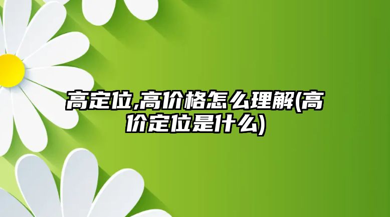 高定位,高價格怎么理解(高價定位是什么)