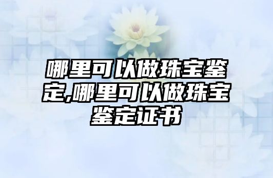 哪里可以做珠寶鑒定,哪里可以做珠寶鑒定證書