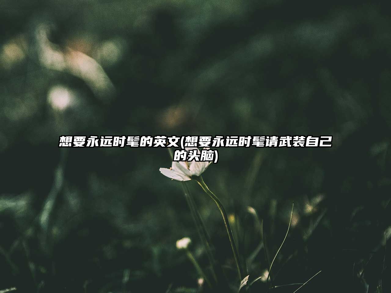 想要永遠時髦的英文(想要永遠時髦請武裝自己的頭腦)