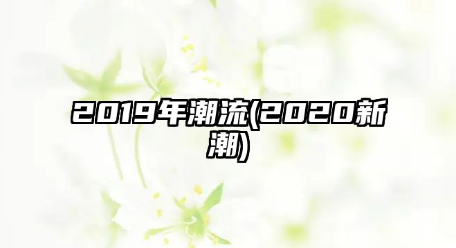 2019年潮流(2020新潮)