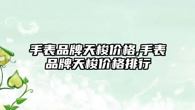 手表品牌天梭價格,手表品牌天梭價格排行