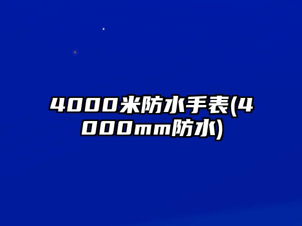 4000米防水手表(4000mm防水)