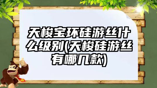 天梭寶環硅游絲什么級別(天梭硅游絲有哪幾款)