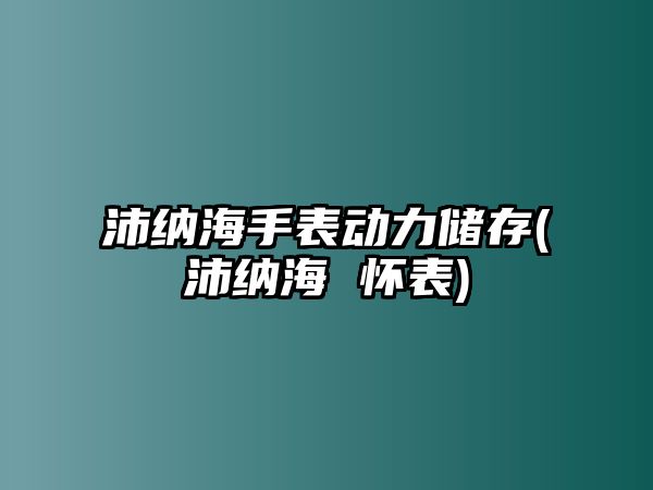 沛納海手表動(dòng)力儲(chǔ)存(沛納海 懷表)