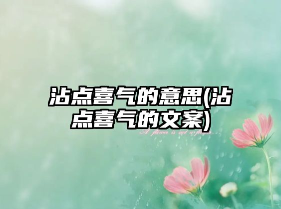 沾點(diǎn)喜氣的意思(沾點(diǎn)喜氣的文案)