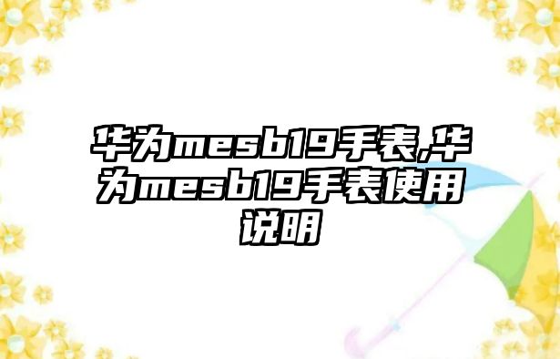 華為mesb19手表,華為mesb19手表使用說明