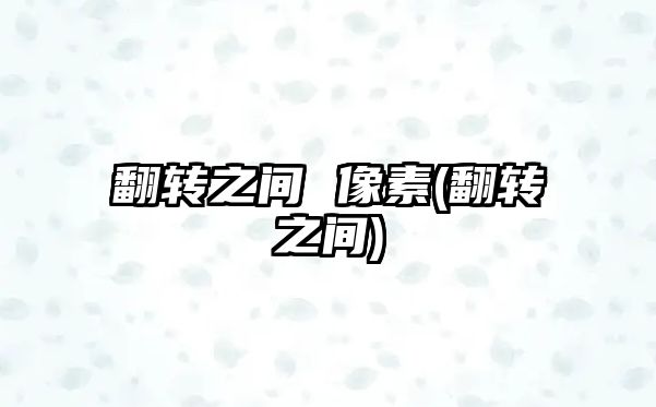 翻轉(zhuǎn)之間 像素(翻轉(zhuǎn)之間)