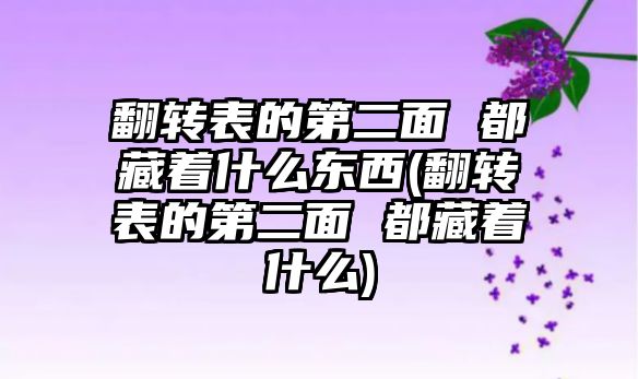 翻轉表的第二面 都藏著什么東西(翻轉表的第二面 都藏著什么)