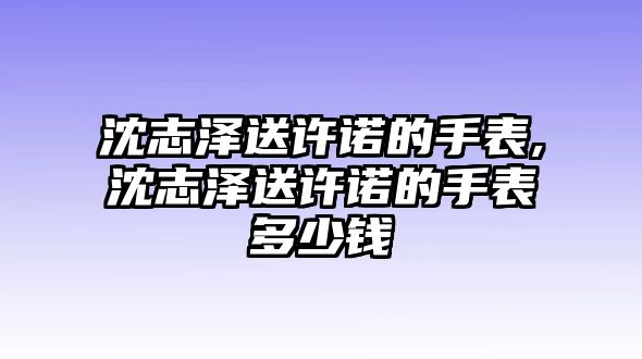 沈志澤送許諾的手表,沈志澤送許諾的手表多少錢