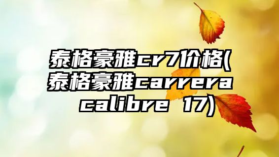 泰格豪雅cr7價格(泰格豪雅carrera calibre 17)