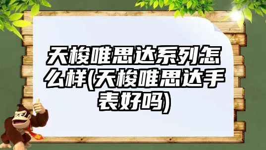 天梭唯思達系列怎么樣(天梭唯思達手表好嗎)