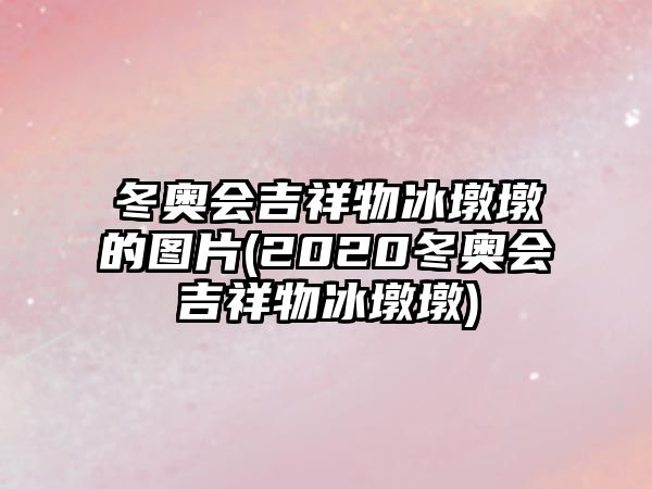 冬奧會吉祥物冰墩墩的圖片(2020冬奧會吉祥物冰墩墩)