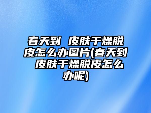 春天到 皮膚干燥脫皮怎么辦圖片(春天到 皮膚干燥脫皮怎么辦呢)