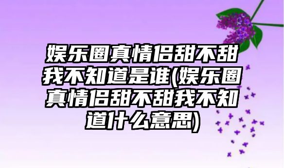 娛樂圈真情侶甜不甜我不知道是誰(娛樂圈真情侶甜不甜我不知道什么意思)